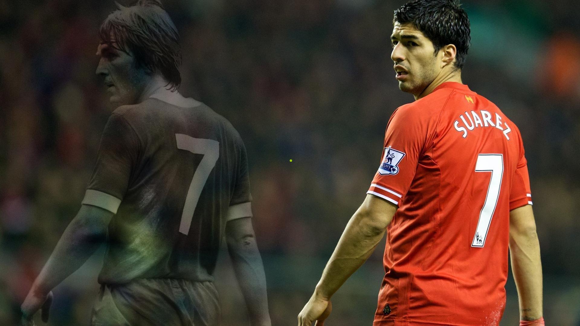 绿茵烽火,巴勒斯坦足球的流亡征程与国家象征